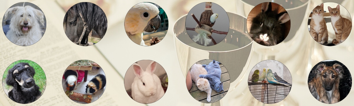 Fotocollage: Im Hintergrund blaß zu sehen ist eine aufgeschlagene Bibel und ein gefüllter Kelch. Im Vordergrund sehen wir 12 Bildpunkte in zwei Reihen zu je 6 runden Fotos. Von links nach rechts, oben nach unten: Mischlingshund, Pferdekopf, Kakadukopf, schwarzes Zwergkaninchen, zwei Katzen, Pudelwelpe, zwei Meerschweinchen, weißes Kaninchen, zwei Katzen, vier Wellensittiche, Windhund